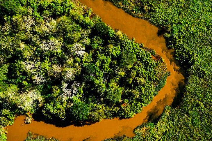 Decreto modifica medição das espécies arbóreas do Bioma Pantanal