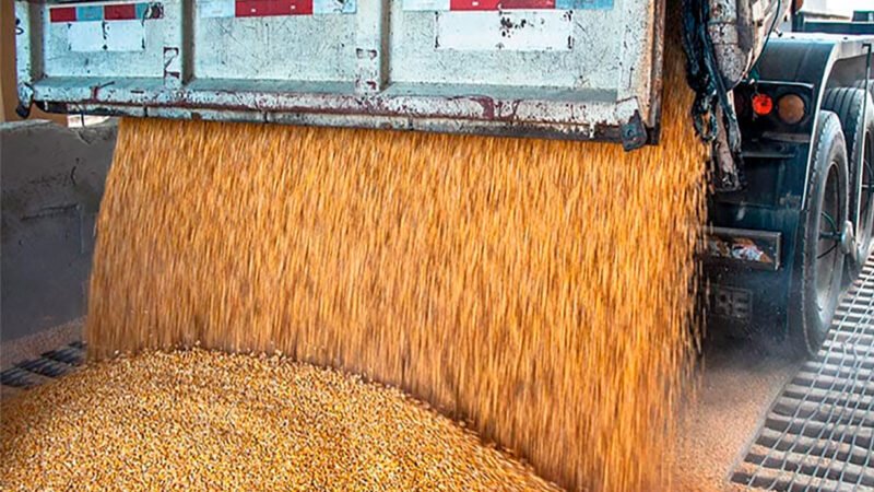 Mato Grosso amplia volume de soja vendida no exterior; China, Espanha, Holanda são maiores compradores