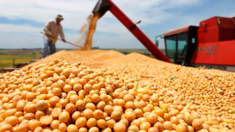 Venda da safra de soja em Mato Grosso chega a 73% e preço rua, indica IMEA