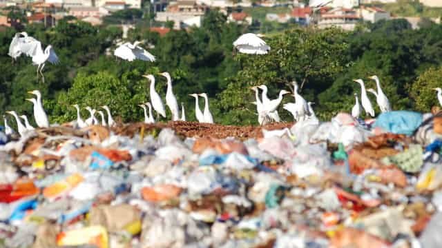 Ritmo do governo Bolsonaro para fechar lixões joga meta para 2063