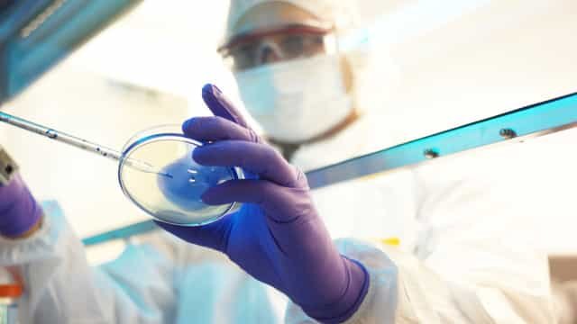 OMS espera que mais casos de varíola dos macados surjam globalmente