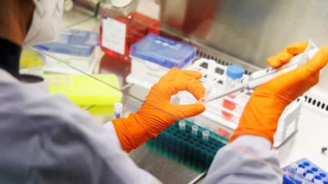 Governo do Rio Grande do Sul confirma segundo caso de varíola dos macacos