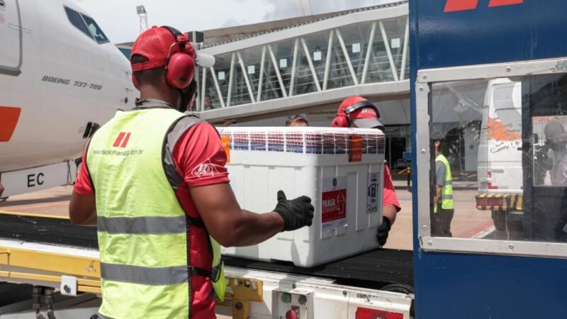 Mato Grosso recebe 58,7 mil doses de vacina neste sábado (20)