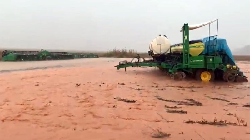 Chuvas atrasam ainda mais colheita da soja no Nortão e causam prejuízos