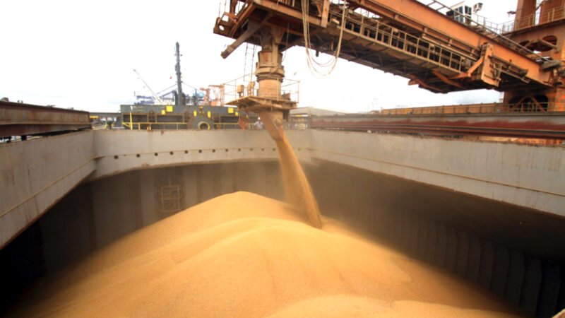 Venda da safra de soja de Mato Grosso está atrasada; preço é melhor