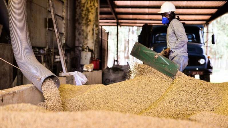 Soja disponível em Mato Grosso tem nova valorização e preço médio é de R$ 164