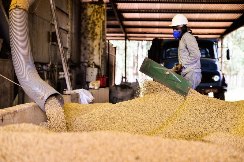 Soja disponível em Mato Grosso tem nova valorização e preço médio é de R$ 164
