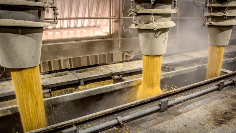 Após várias semanas de valorização preço da soja disponível em Mato Grosso cai 2,4%