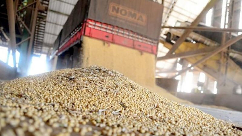 Cai o volume de esmagamento de soja em Mato Grosso