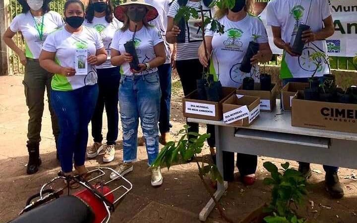 Equipes da SEDEC e Empaer de Guarantã do Norte, realizaram a distribuição de mudas em comemoração à semana do Meio Ambiente