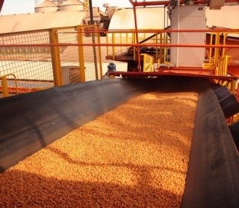 Preço da soja disponível em Mato Grosso tem nova queda