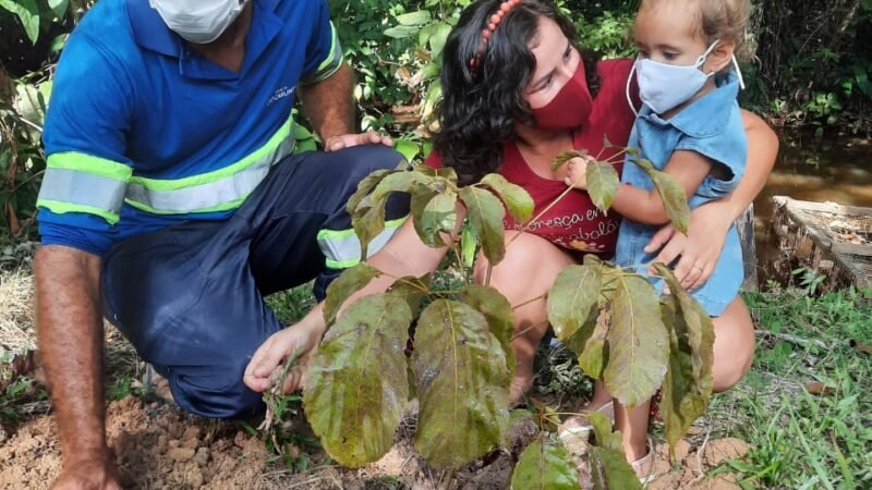 Doação e plantio de mudas marcam celebração de concessionárias da Aegea MT/PA no mês Mundial do Meio Ambiente