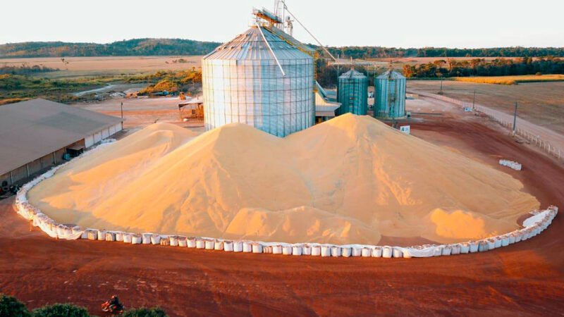 Soja disponível em Mato Grosso tem forte queda
