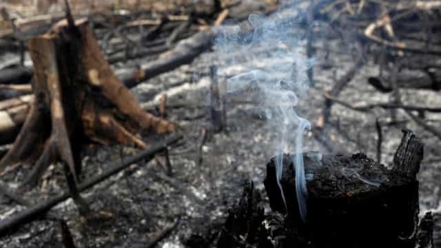 Incêndio destrói 40 barracos em comunidade da Zona Leste de SP