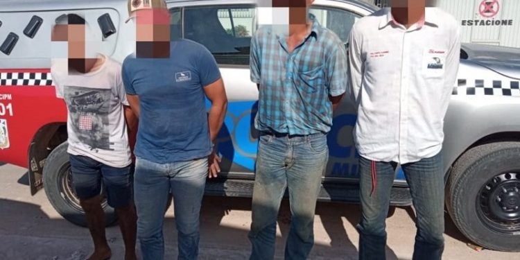 Quadrilha acusada por roubo de gado é presa em Novo Progresso