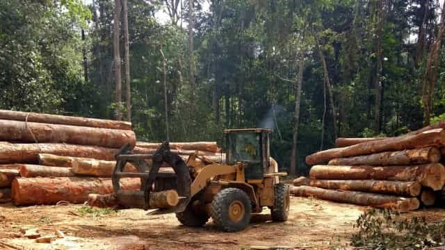 Ministério da Agricultura e PF deflagram operação contra fraude na exportação