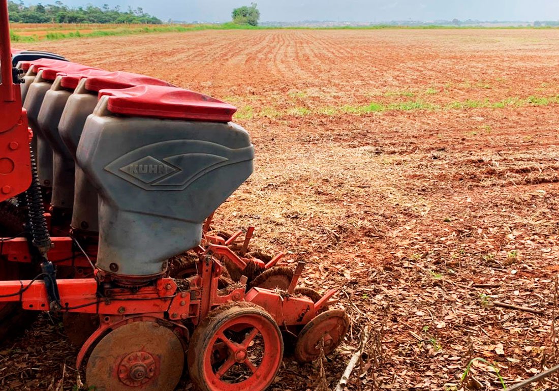 Plantio de soja em Mato Grosso tem avanço lento e maioria planta nos próximos dias, diz IMEA