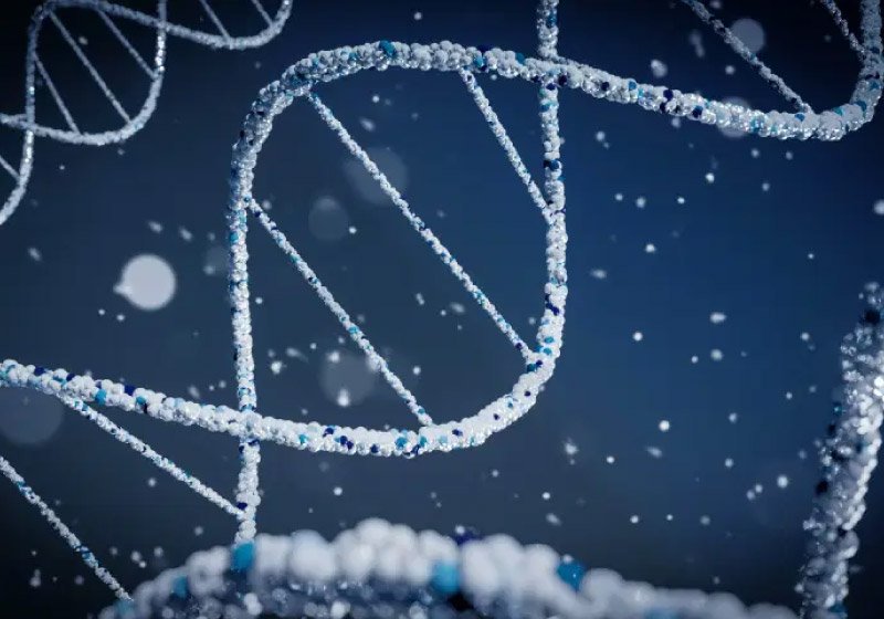 Cientistas decifram genoma humano inteiro. ‘Salto gigantesco da ciência’