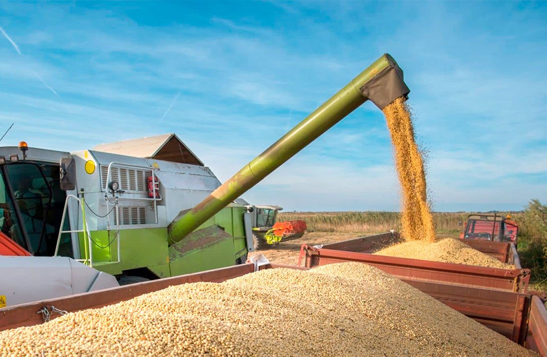 Produtores de Mato Grosso avançam na venda da safra de soja e preço melhora 1,5%