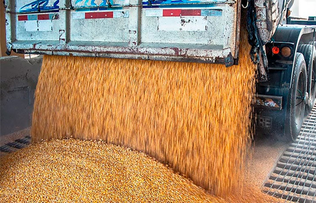 Cotação da soja disponível em Mato Grosso tem redução de 1,5%