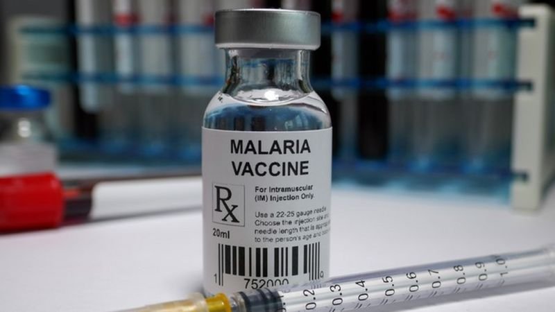 1ª vacina contra malária aprovada pela OMS poderá evitar 400 mil mortes por ano