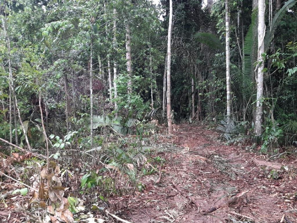 Fiscalização em reserva extrativista resulta em apreensão de máquinas e multa de R$ 50 mil