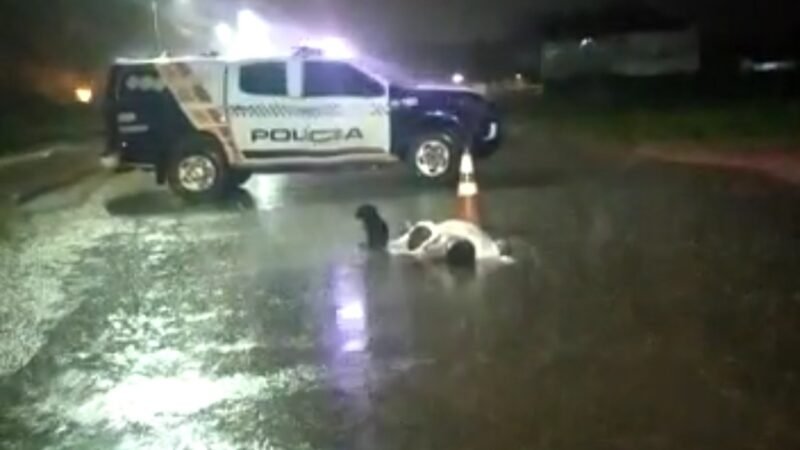 Homem foi atropelado em Guarantã do Norte e veio a óbito