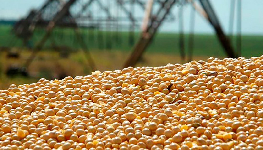 Melhora preço da soja disponível em Mato Grosso