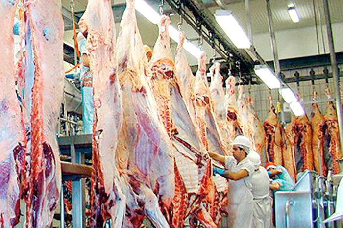 Mato Grosso tem mais mercados internacionais para vender carne, prevê presidente da Acrimat