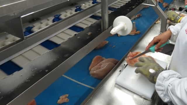 China suspende a importação de frango de dois frigoríficos brasileiros