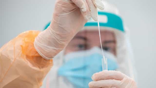 Com cinco casos de covid-19, elenco do Palmeiras se reapresenta em São Paulo