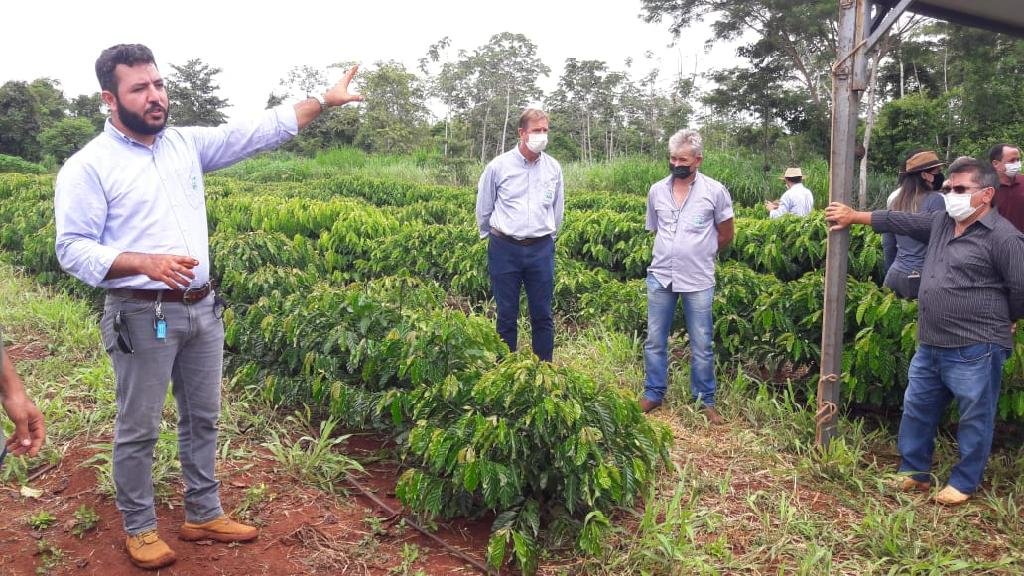 Encontro do Café no Médio Norte reúne agricultores e empresários de São Paulo e Minas Gerais