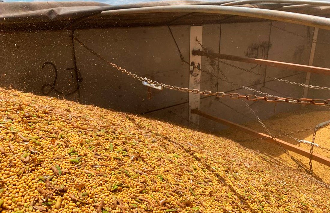 Soja disponível em Mato Grosso sobe e vai a R$ 169, diz IMEA