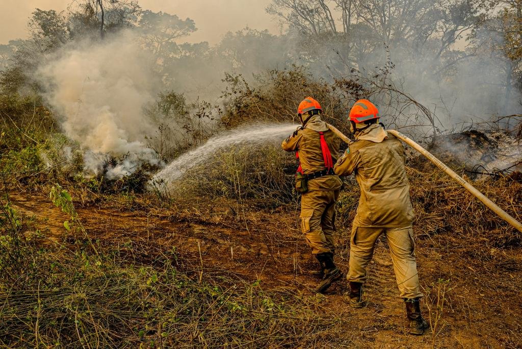 Governo de MT lança plano de combate aos incêndios florestais e desmatamento ilegal para 2022