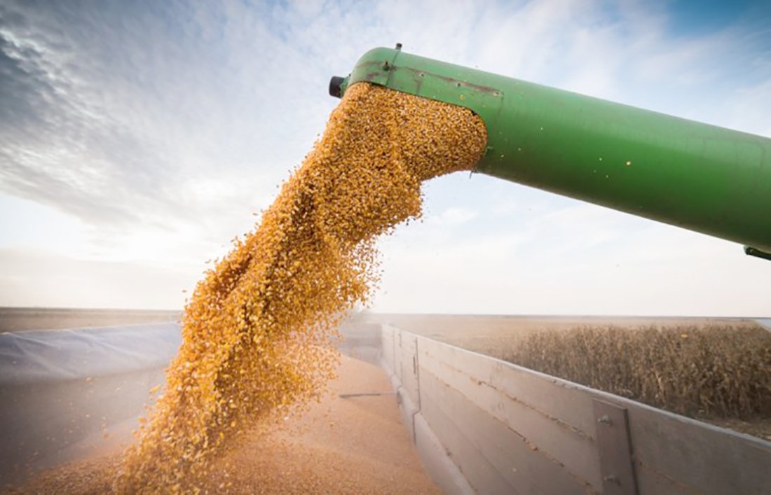 Produtores avançam com venda de milho em Mato Grosso que chega a 68% da safra