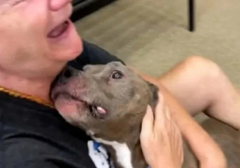 Mulher chora ao reencontrar cão perdido há 8 anos. Separe o lencinho!