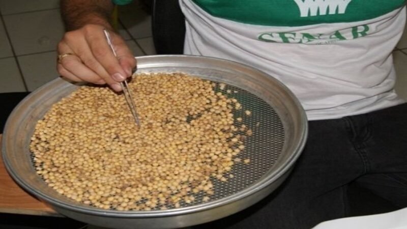 Sindicato Rural de Guarantã do Norte e Senar disponibilizam dois cursos