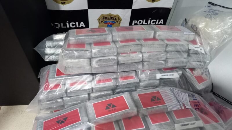 Polícia Civil de Guarantã do Norte incinera 342 quilos de drogas