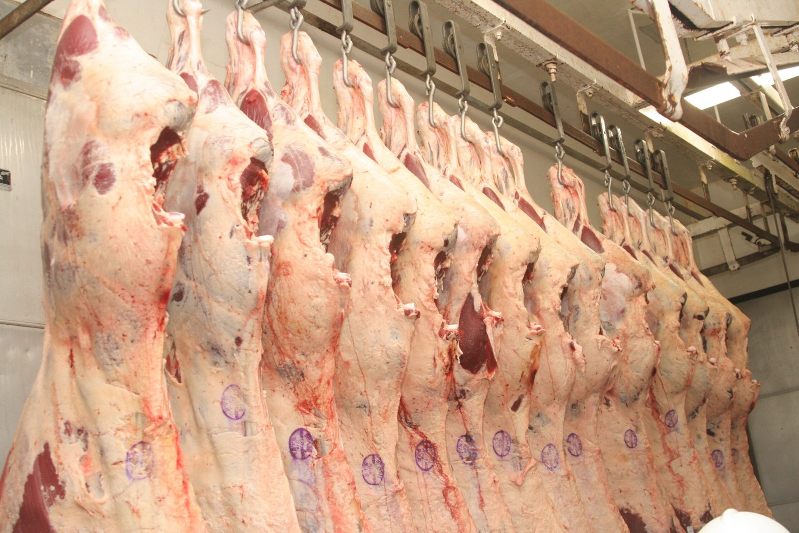 Carne mato-grossense vendida em dólar cai para última colocação no mercado externo, diz instituto