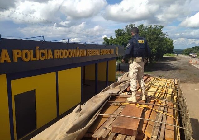 Polícia Rodoviária Federal em Sorriso/MT retirou de circulação uma carga de madeira indevidamente extraída da floresta amazônica