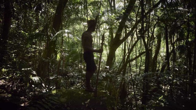 Governo cria grupo para tratar do combate a crimes em terras indígenas