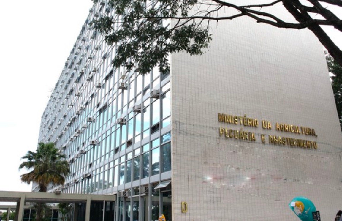 Ministério da Agricultura investiga suspeita de vaca louca no Pará