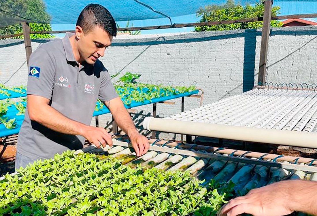 Escola militar no Médio Norte desenvolve projeto de sustentabilidade ambiental com horta hidropônica