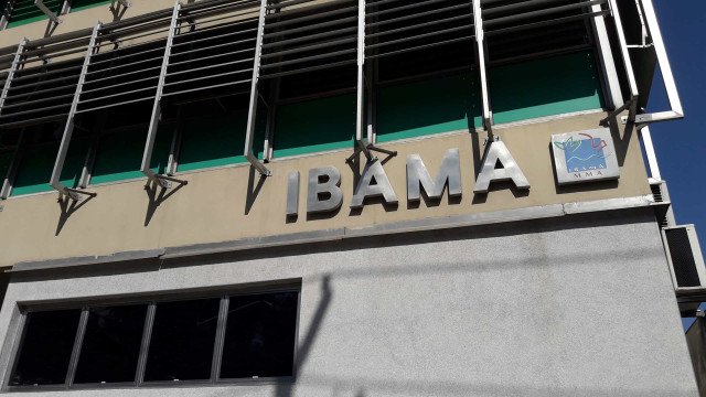 Bolsonaristas usam capivara Filó para atacar Ibama, diz presidente do órgão