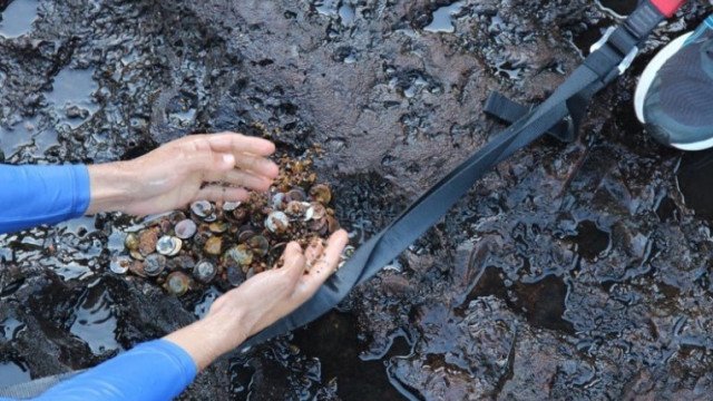 Cerca de R$ 3 mil em moedas são retirados de rio nas Cataratas do Iguaçu