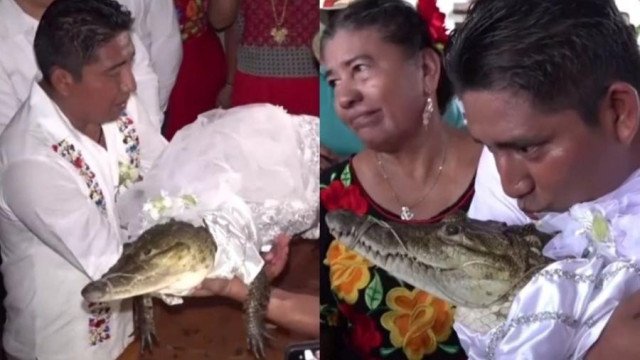 Prefeito se casa com crocodilo em cerimônia por prosperidade no México