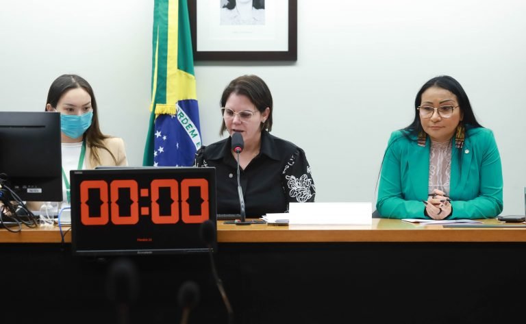 Comissão que acompanha demarcação de terra indígena entre Mato Grosso e Pará fará novo debate