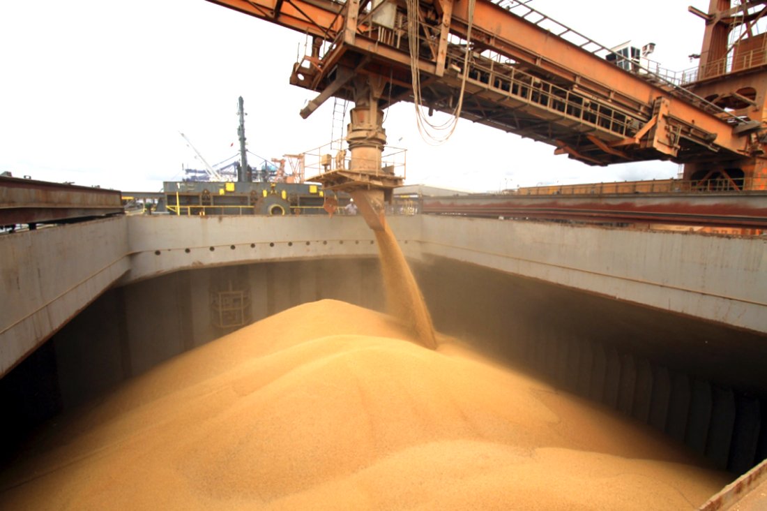 Cotação da soja disponível em Mato Grosso sobe; do milho desce