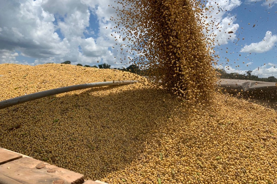 Valor bruto de produção de soja em Mato Grosso aumenta e é o maior da série histórica