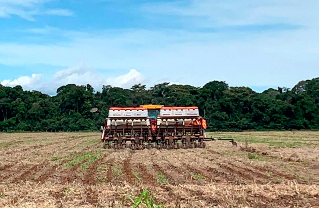 Plantio da soja em Mato Grosso chega a 35% da área total